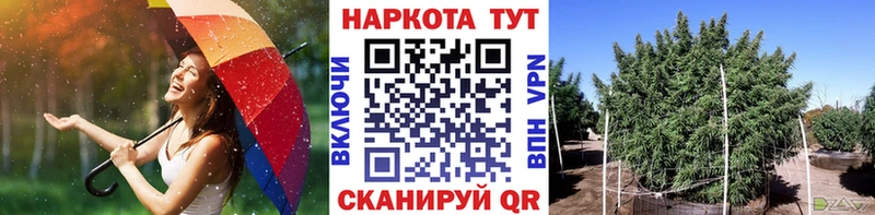 Как найти закладки Бикин Псилоцибиновые грибы  Меф мяу мяу  Каннабис 