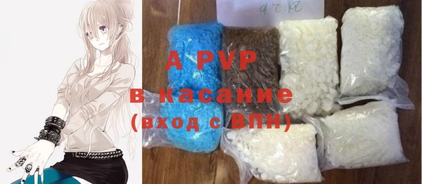 индика Арсеньев