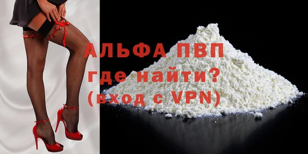 индика Арсеньев
