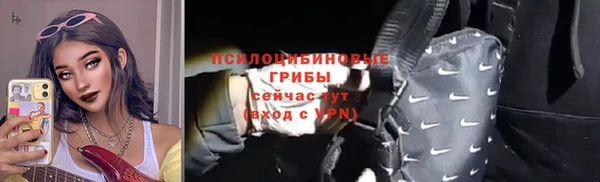 индика Арсеньев
