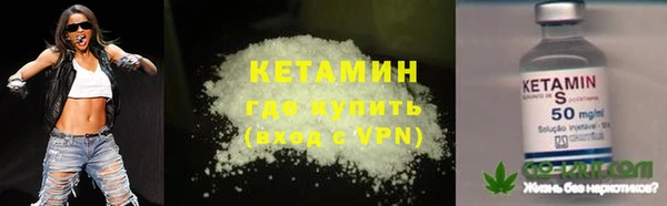 индика Арсеньев